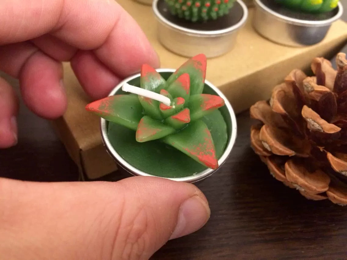 Cactus and Succulent tea light candle (set of 6 randomly picked by shipper)