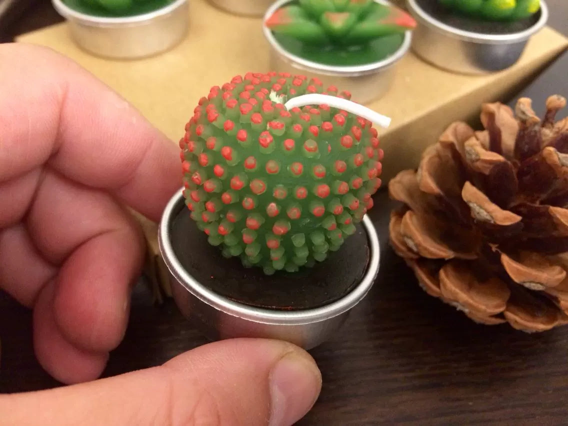 Cactus and Succulent tea light candle (set of 6 randomly picked by shipper)