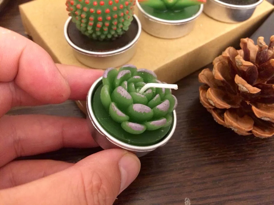 Cactus and Succulent tea light candle (set of 6 randomly picked by shipper)