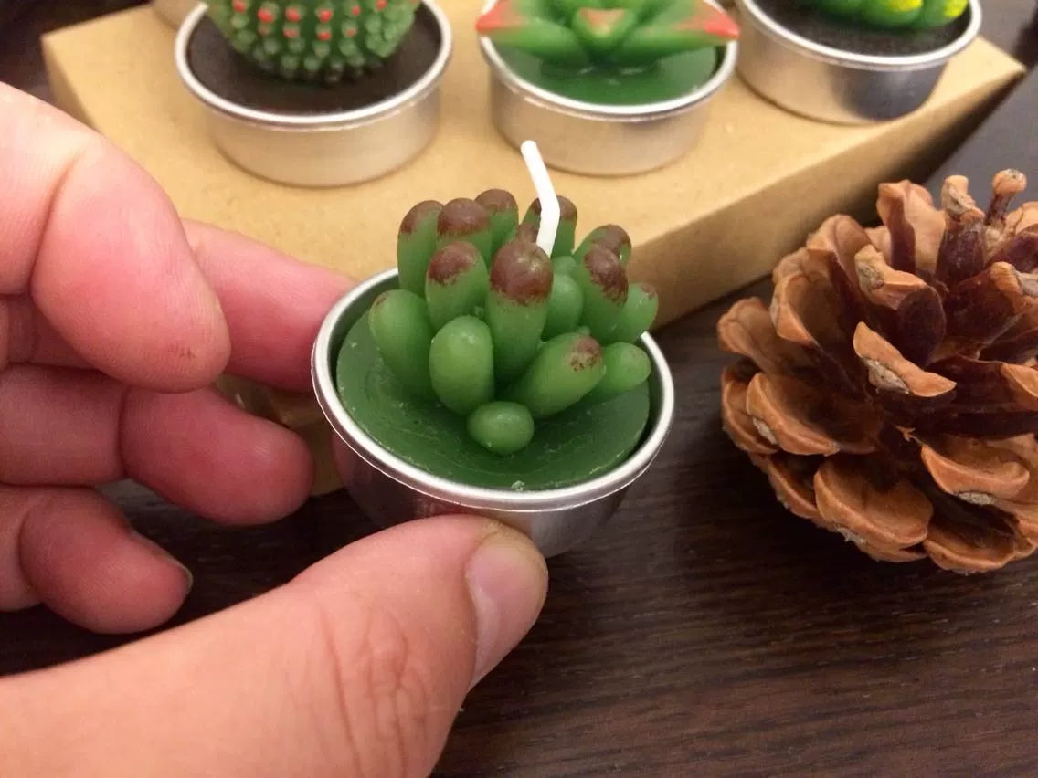 Cactus and Succulent tea light candle (set of 6 randomly picked by shipper)