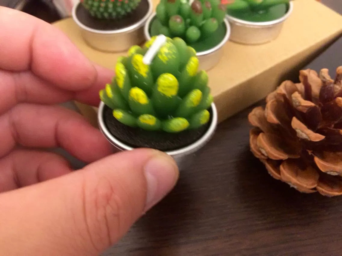 Cactus and Succulent tea light candle (set of 6 randomly picked by shipper)