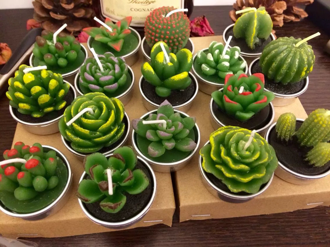 Cactus and Succulent tea light candle (set of 6 randomly picked by shipper)