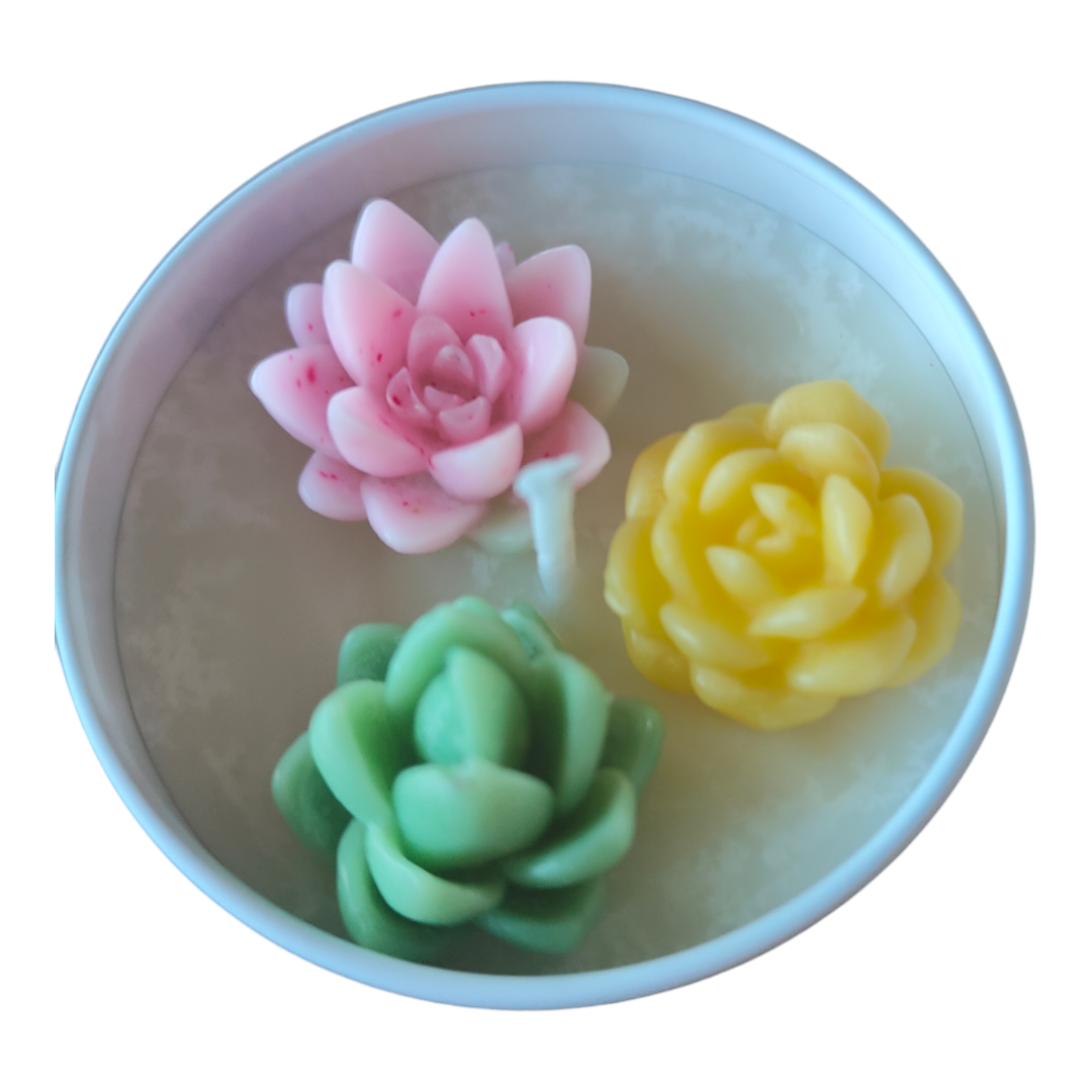 Succulent Candles in Tin Tray