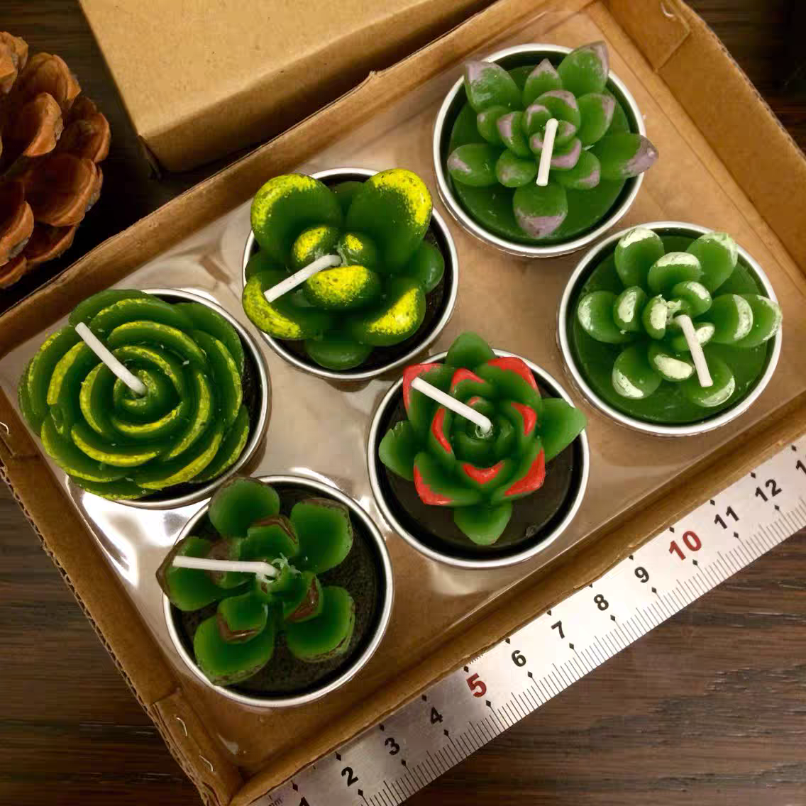 succulent tea lights Cactus and Succulent tea light candle (set of 6 randomly picked by shipper)
