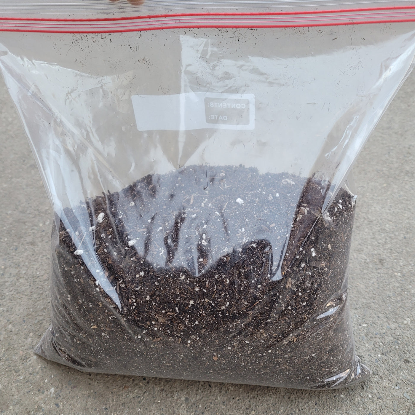 Succulent Soil Mix in clear resealable bag with perlite.