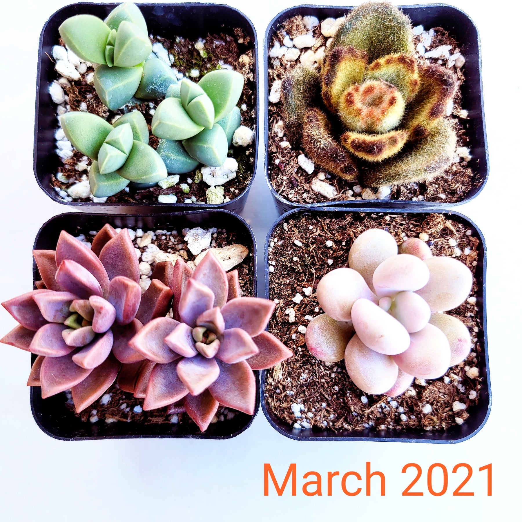 Monthly Subscription Box