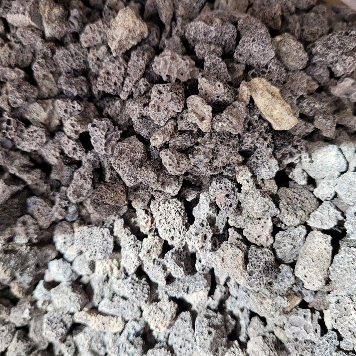 Black Lava Rocks, porous and ideal for moisture retention in soil.