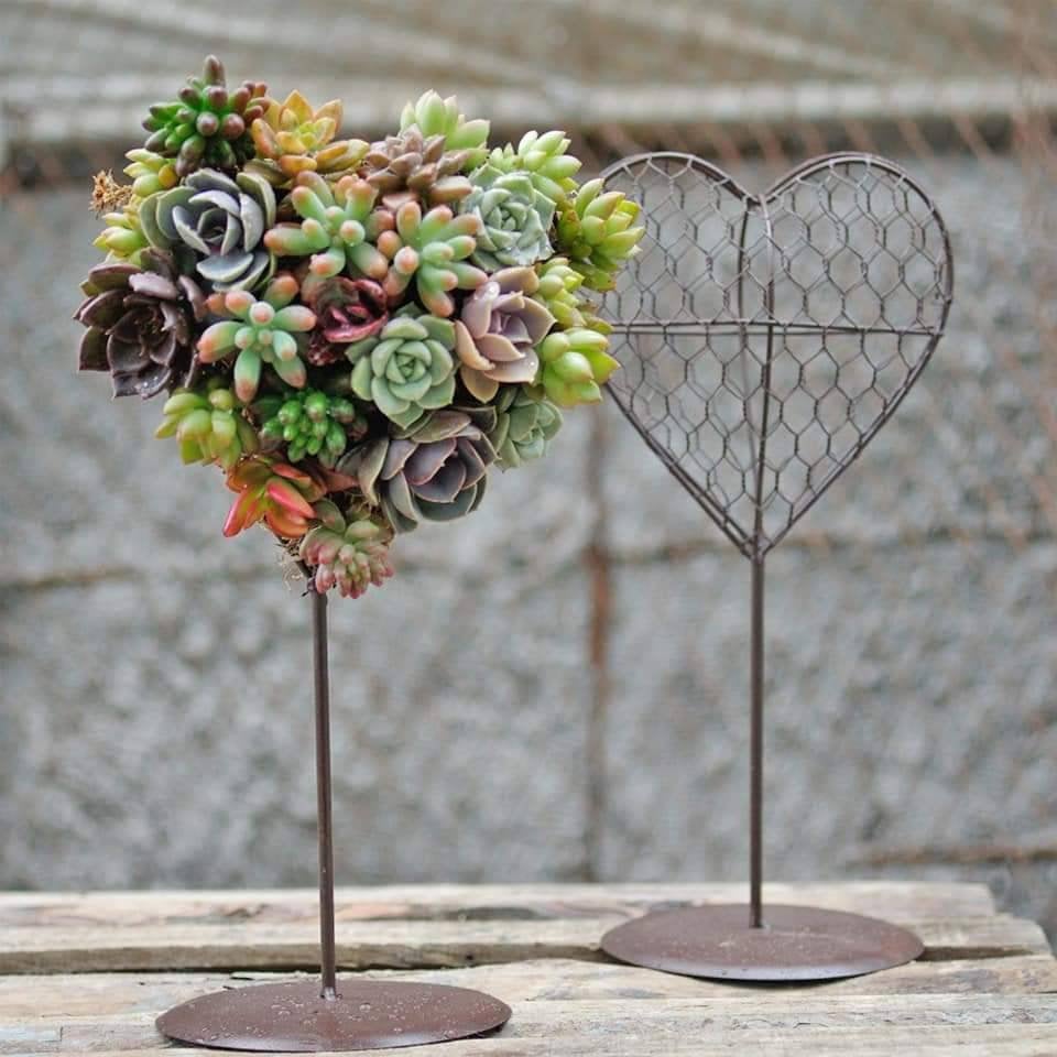 Heart Shape Wreath Kit (Plants not Included)