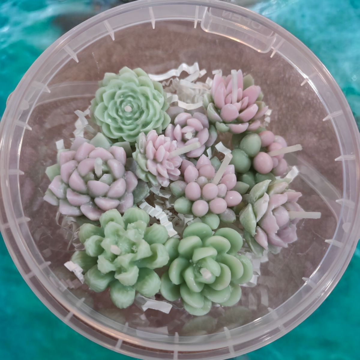 mini succulent candles Assorted 10 Small Succulent Candles