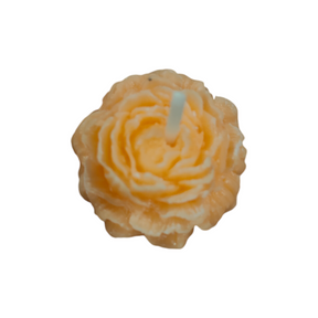 Assorted Small Flower & Succulent Candles - Handmade