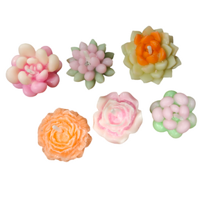 Assorted Small Flower & Succulent Candles - Handmade
