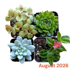 Monthly Subscription Box
