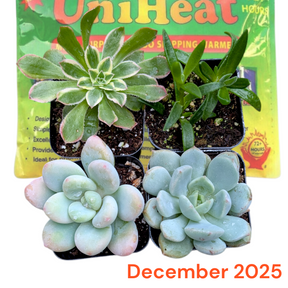 Monthly Subscription Box