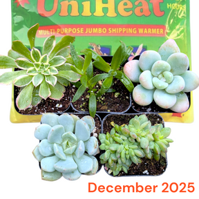 Monthly Subscription Box