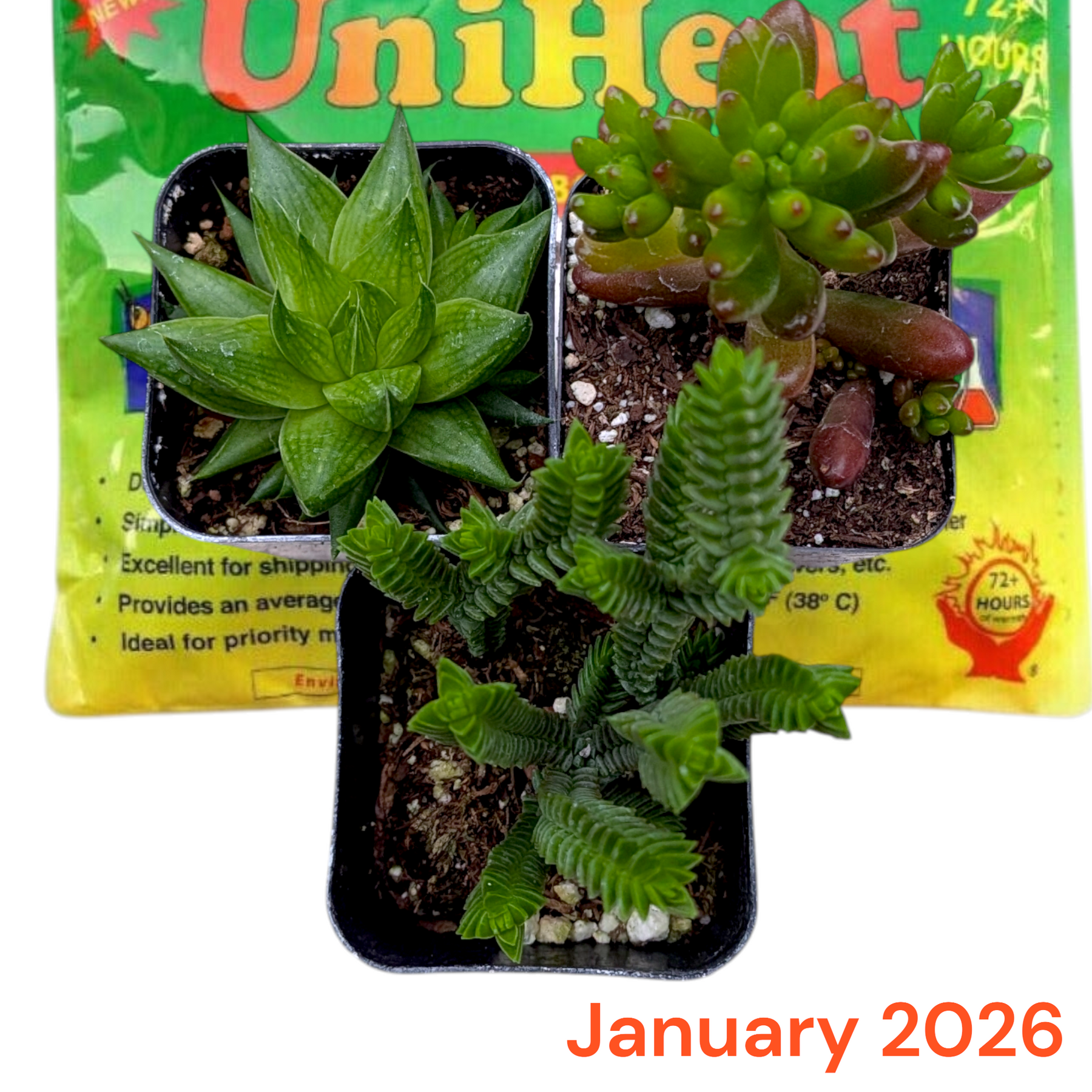 Monthly Subscription Box