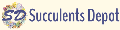 Succulents Depot logo