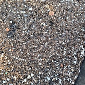 Succulent Soil Mix