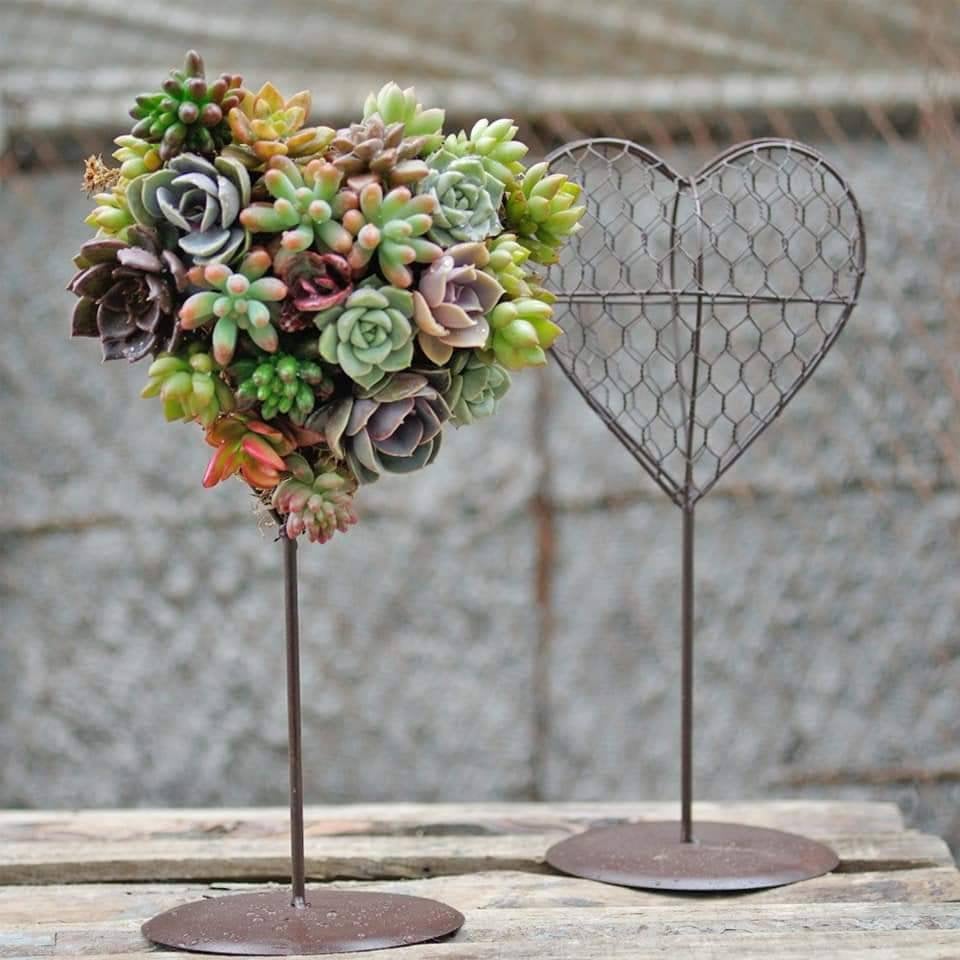 Heart Shape Wreath Kit (Succulents and Moss are not included) - Succulents Depot